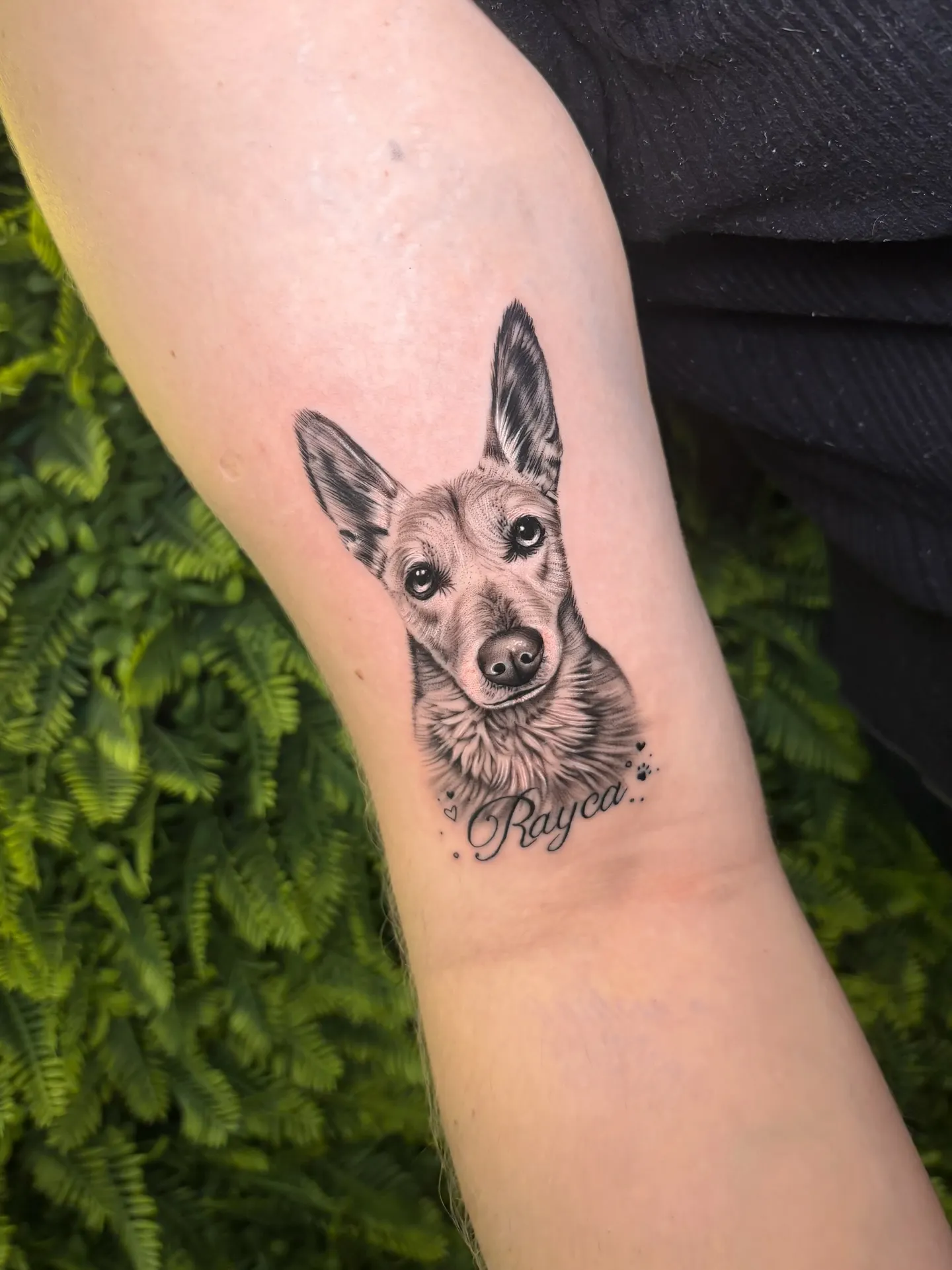 Joao Tattoo 5_11zon
